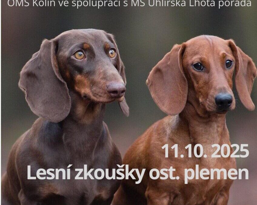 Lesní a barvářské zkoušky Uhlířská Lhota